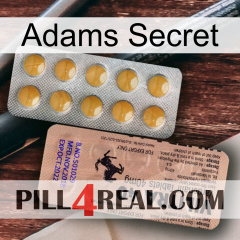 Adams Secret 41